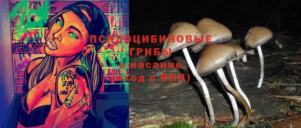 кокс Арсеньев