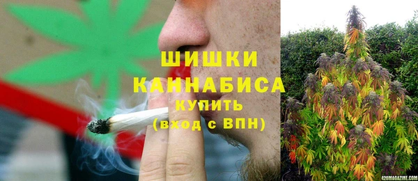 кокс Арсеньев